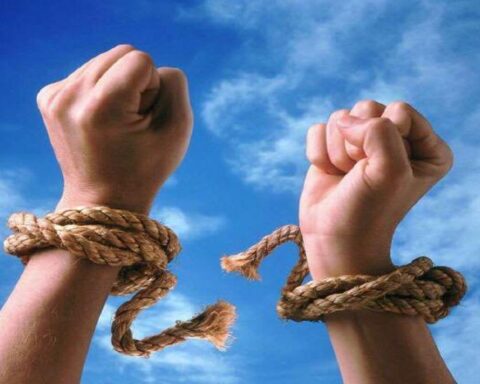 democracy and transparency