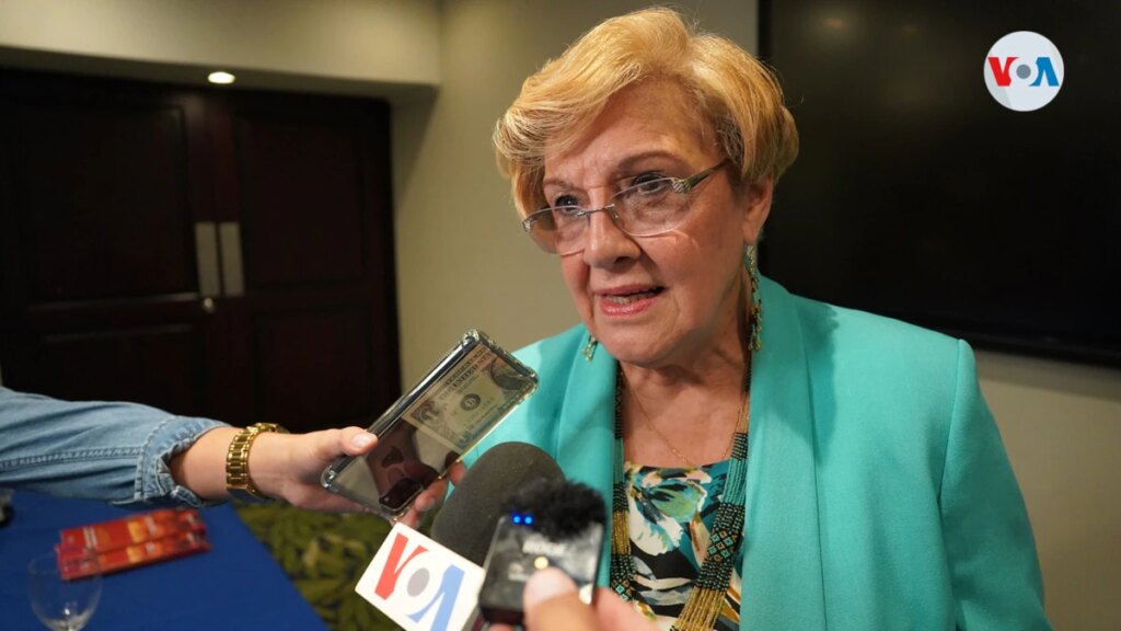 "Democratic institutions have been broken": IACHR Rapporteur for Nicaragua