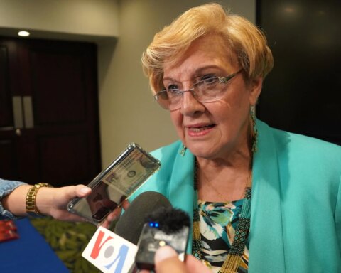 "Democratic institutions have been broken": IACHR Rapporteur for Nicaragua