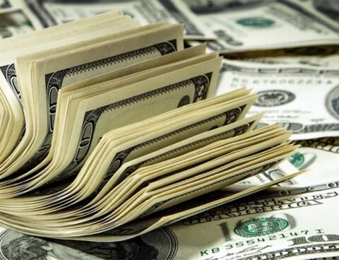 "bimonetary"currency flight and uses of the dollar, axes of a Celag report