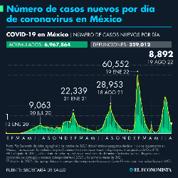 Number of cases of Covid-19 in Mexico as of August 19, 2022