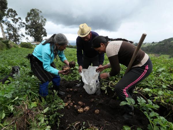 Agricultural inputs rose 32.6% between January and June