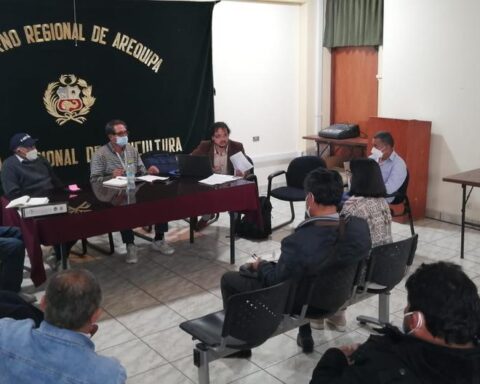 Arequipa farmers organize to import 10 thousand tons of urea