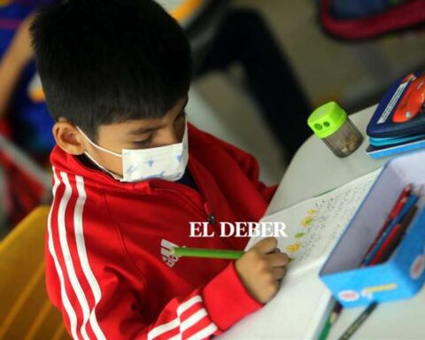 Bolivia registers less than 400 cases of Covid-19 this Sunday