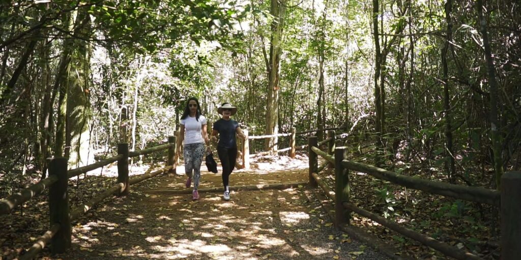 Brasília: walking on the trail of waterfalls is the theme of Caminhos da Reportagem