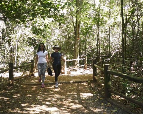 Brasília: walking on the trail of waterfalls is the theme of Caminhos da Reportagem