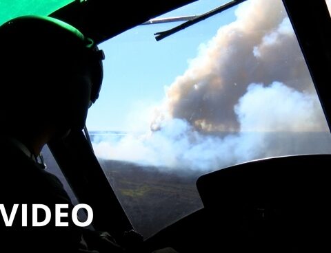 Brigade members fight among the smoke, ashes and grasslands against the fires in the Delta