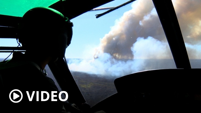 Brigade members fight among the smoke, ashes and grasslands against the fires in the Delta