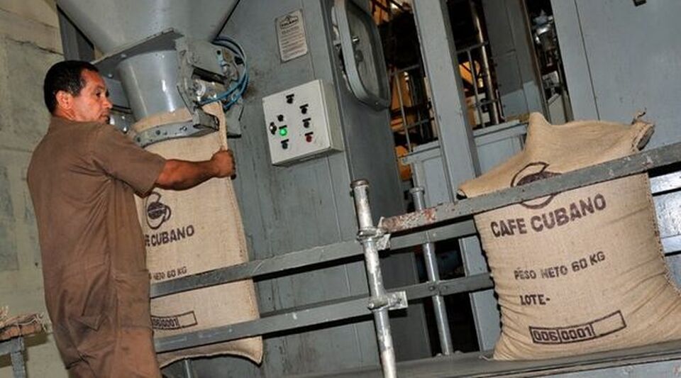 Coffee processors complain that the Cuban State condemns them to work at a loss
