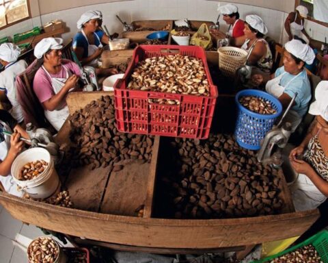 Communal companies will participate in Perumin 35 to expose work experiences