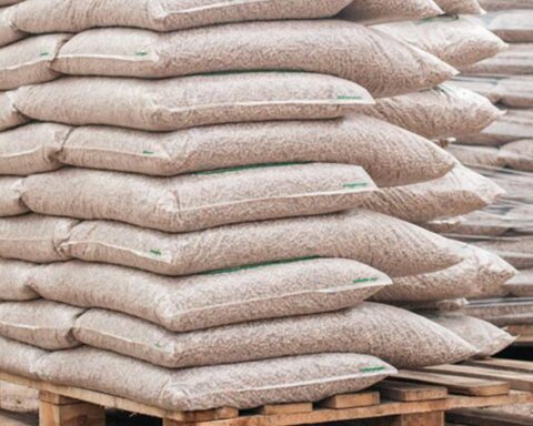 Conveagro: Rice and corn production fell more than 20% due to fertilizer shortages