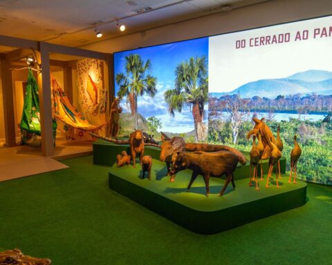 Crafts from the Midwest compose an exhibition in Rio