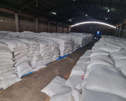 Customs and Iniaf seized more than 620 tons of soybean and corn seed in Santa Cruz