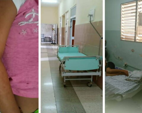 Se disparan los casos de dengue en Mayabeque: “Faltan medicinas e insumos en los hospitales”