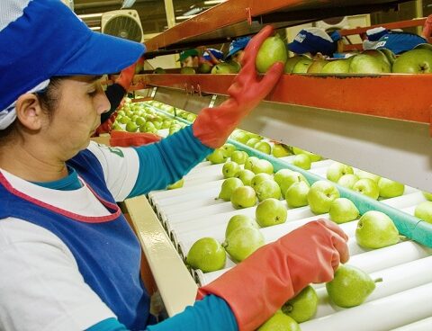 Deputies seek to advance in a consensus opinion on the Agroindustry project