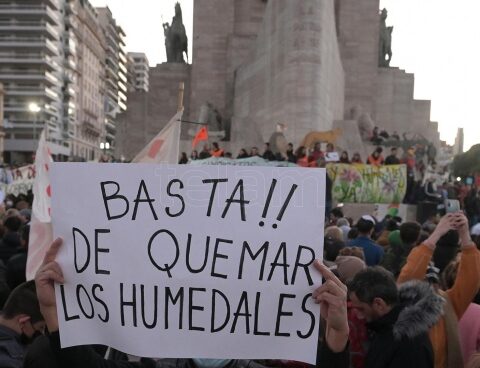 Environmentalists mobilized for the burning in the delta of the Paraná River