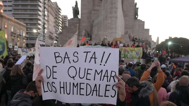 Environmentalists mobilized for the burning in the delta of the Paraná River