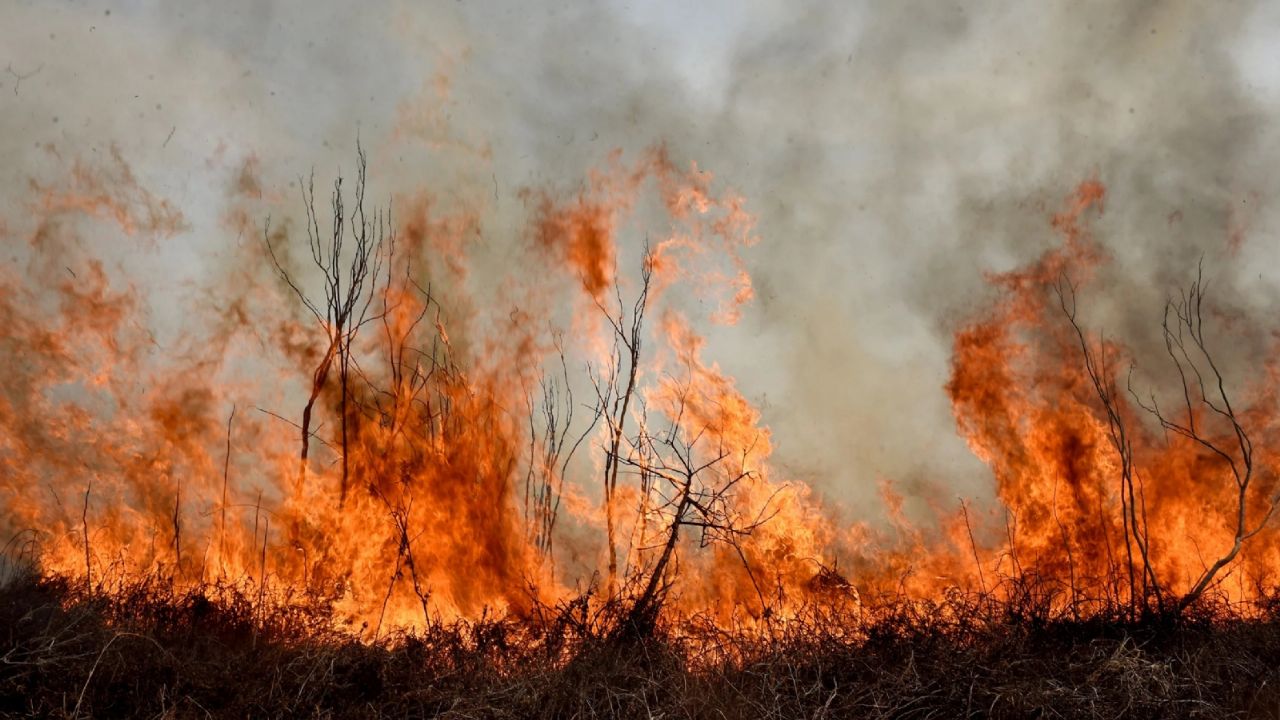 Fires in the Paraná Delta: brigade members fight to put out three large outbreaks