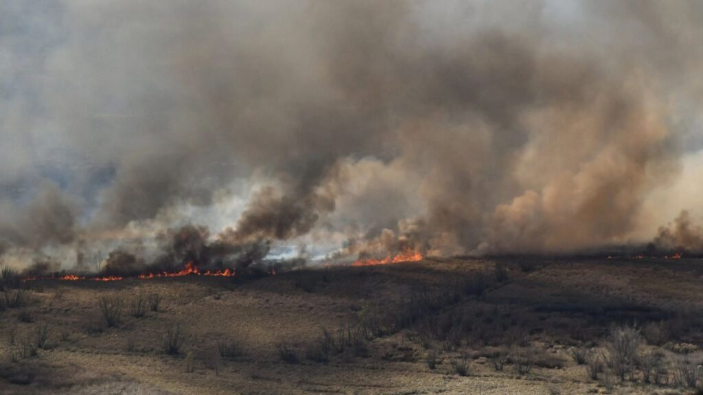 Fires in the Paraná Delta: there are new outbreaks and more resources are added to fight them