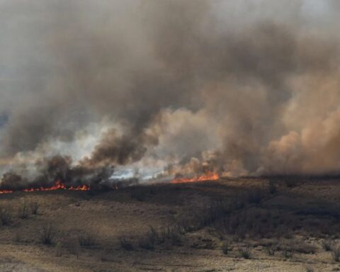 Fires in the Paraná Delta: there are new outbreaks and more resources are added to fight them