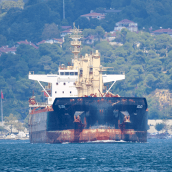 Four cargo ships with 70,000 tons of grain set sail from Ukrainian ports