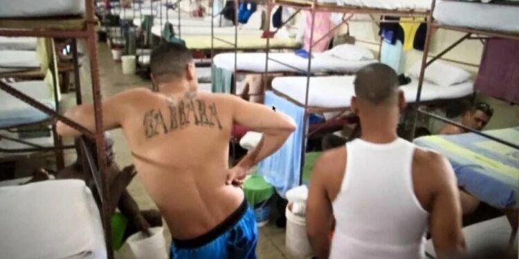 presos políticos, Cuba