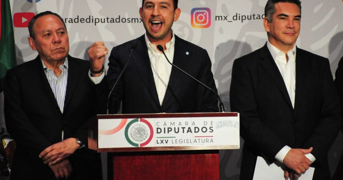 Goes for Mexico announces commission to form coalition governments