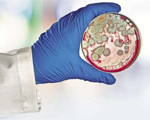 Henipavirus: take on a new virus