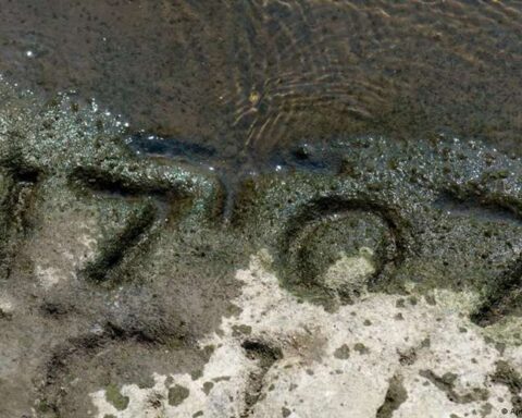 Historic drought in German rivers exposes ancient "Hunger Stones"