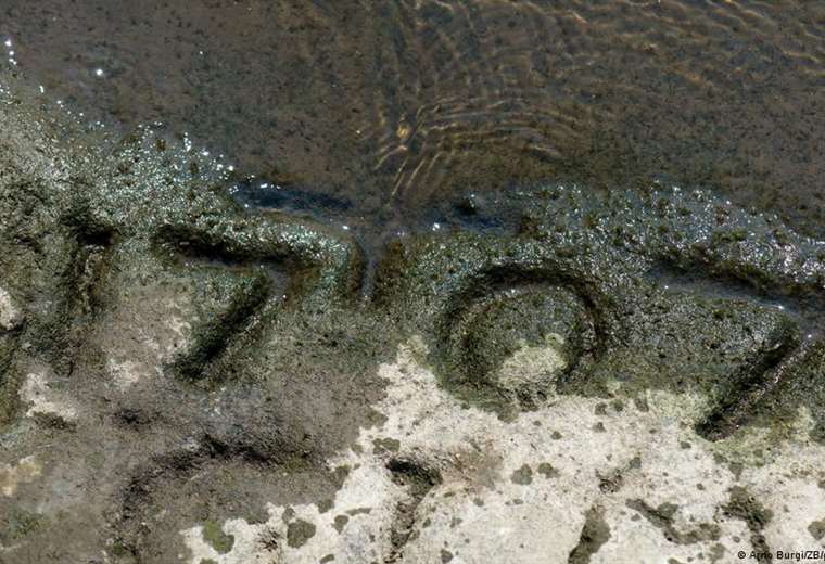 Historic drought in German rivers exposes ancient "Hunger Stones"