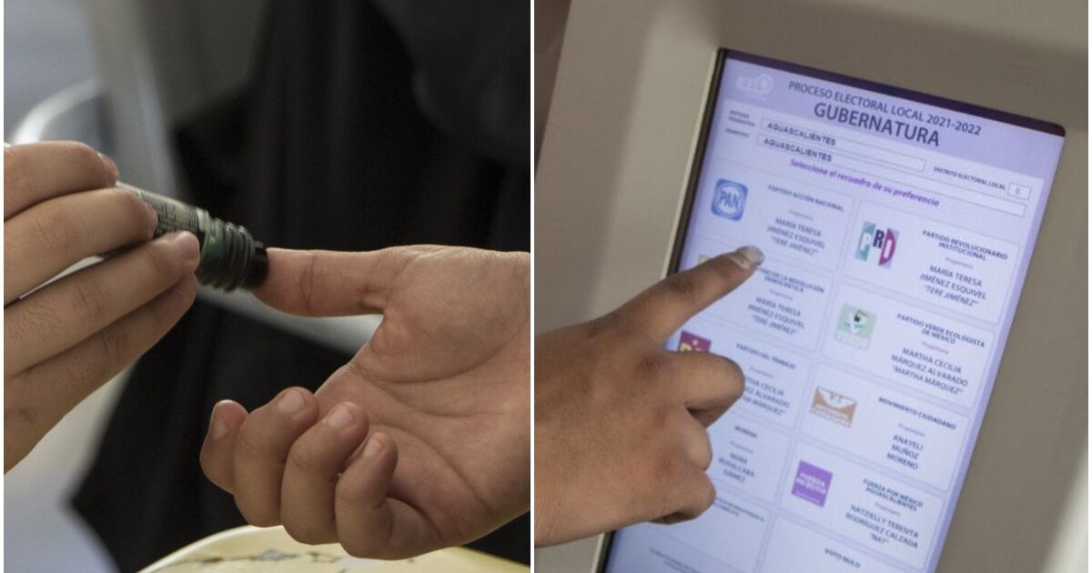 INE advisors: electronic voting must be gradual, progressive and reliable