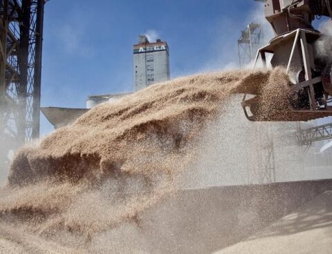 In 2022, agro-exporters settled US$ 22,309 million in grains