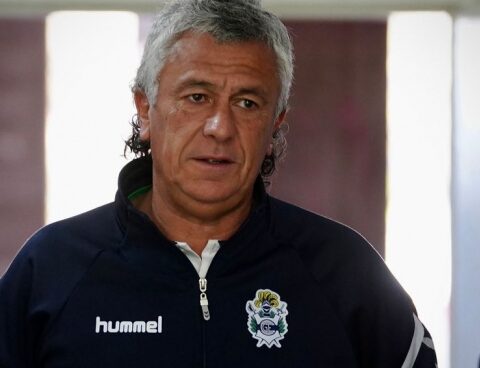 In the Forest they dream big