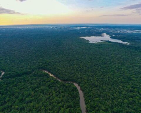 Indigenous peoples in isolation accuse company of endangering their territories