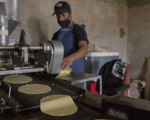 Inflation, piracy and insecurity put the consumption of tortillas in check