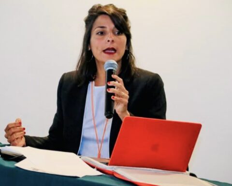 Irene Vélez, appointed as the new Minister of Mines and Energy