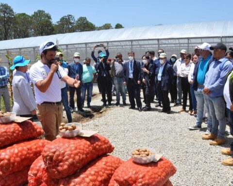 Agencias Corea visitan proyecto