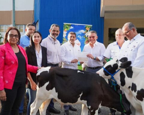 Limber recibe 25 becerros donados por Grupo Rica para mejorar genética de ganadería