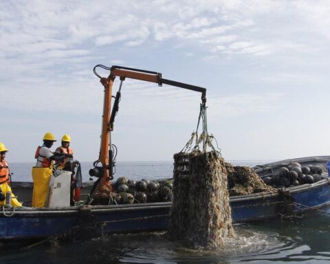 Ministry of Production transfers S/ 2.3 million to Sanipes for hydrobiological evaluations