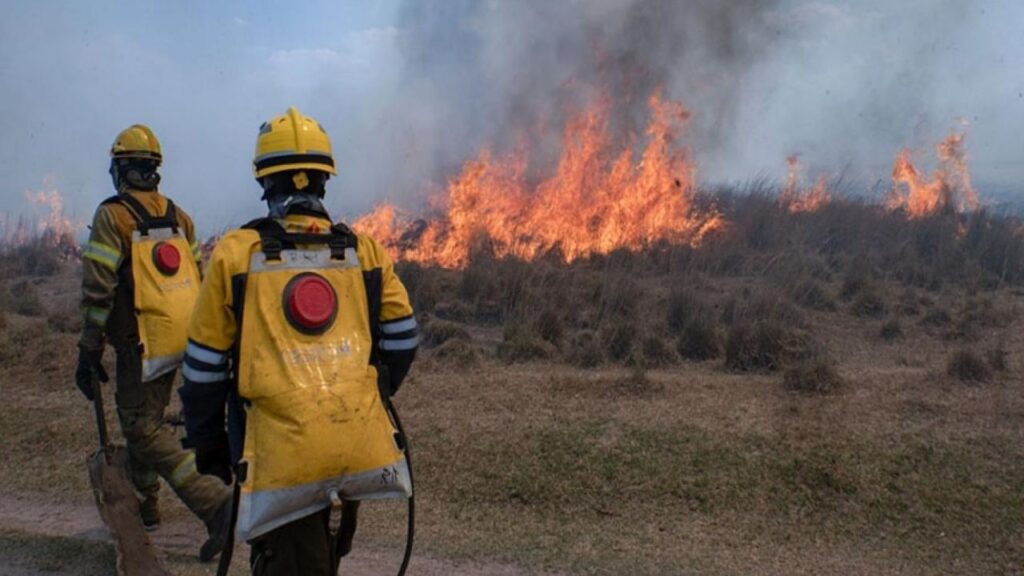 More firefighters join the efforts to contain the fires in the Paraná Delta