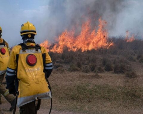 More firefighters join the efforts to contain the fires in the Paraná Delta