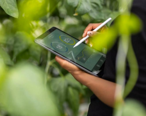 More than 150 entrepreneurs are trained to create businesses that help curb climate change