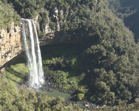 Novo Caracol Consortium wins park concession auction in RS