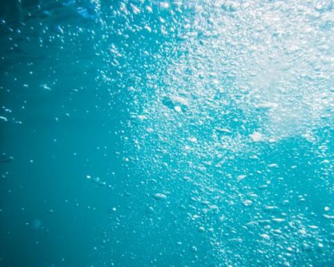 Oceans: indebted to a mechanism for their future conservation