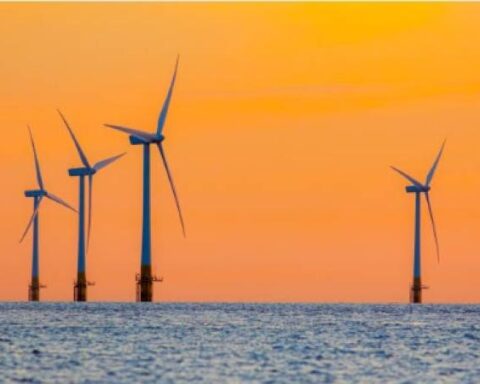 Offshore wind projects: the roadmap to develop them