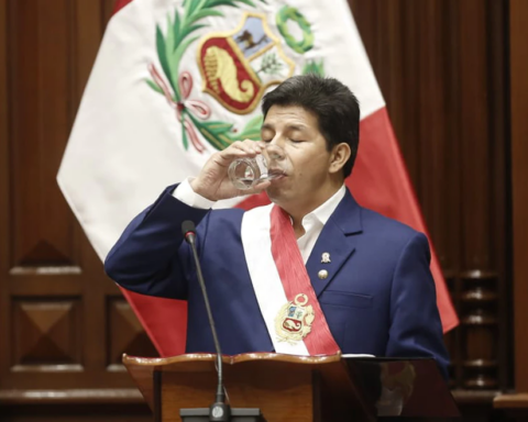 Only 2% agree with vacating only Pedro Castillo, according to IEP