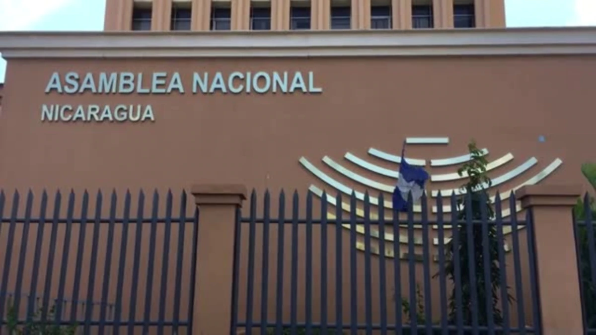 Ortega closes 4 organizations of members of the ruling party in Nicaragua