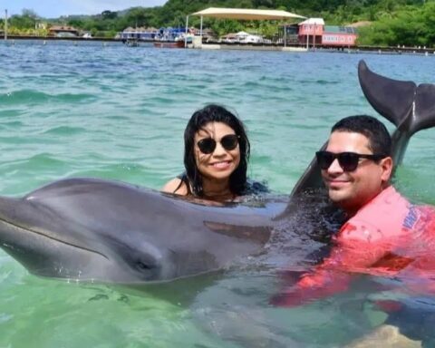 Police do not investigate the death of the partner of the son of a CSJ magistrate