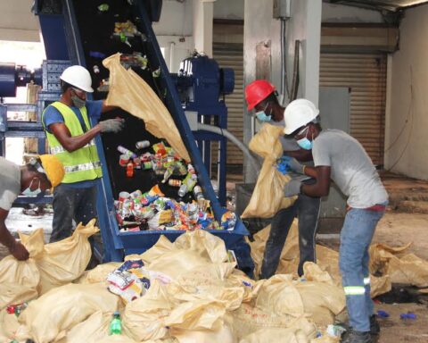 Pro Consumidor destroys more than 300 thousand products not suitable for consumption
