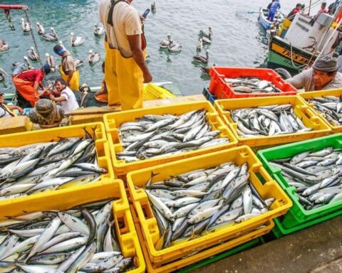 Produce: Landing of fishery resources exceeded 1.03 million tons in June 2022